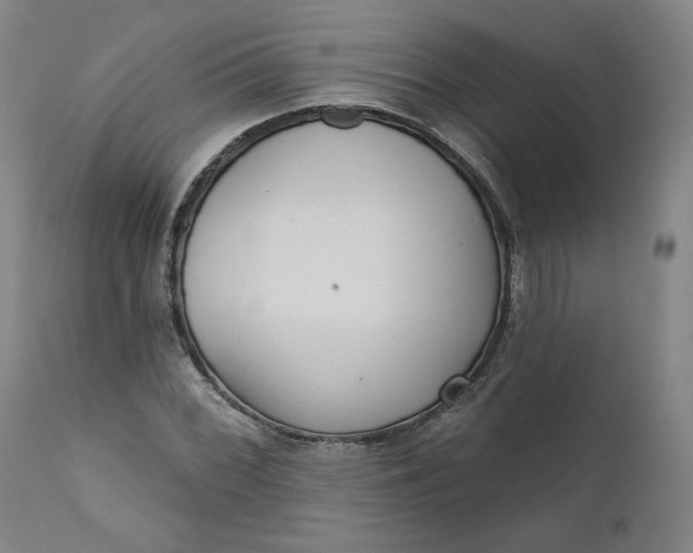 X0000111641068200908071337