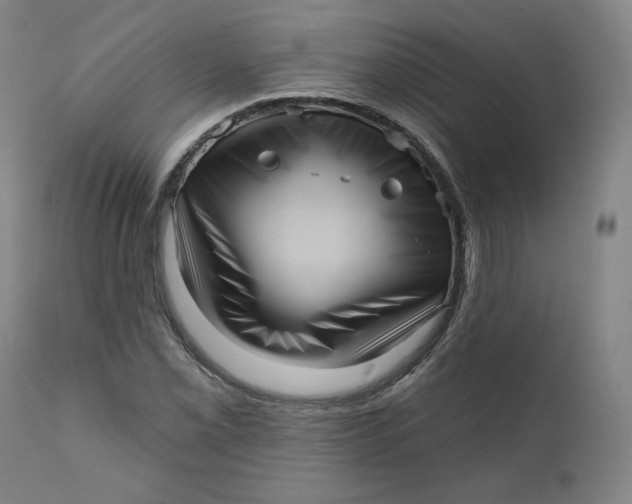 X0000111641069200908071337