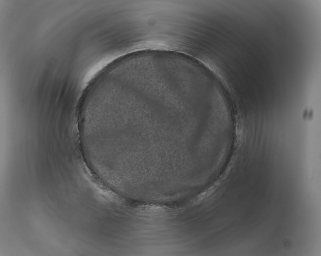 X0000111641070200908071337