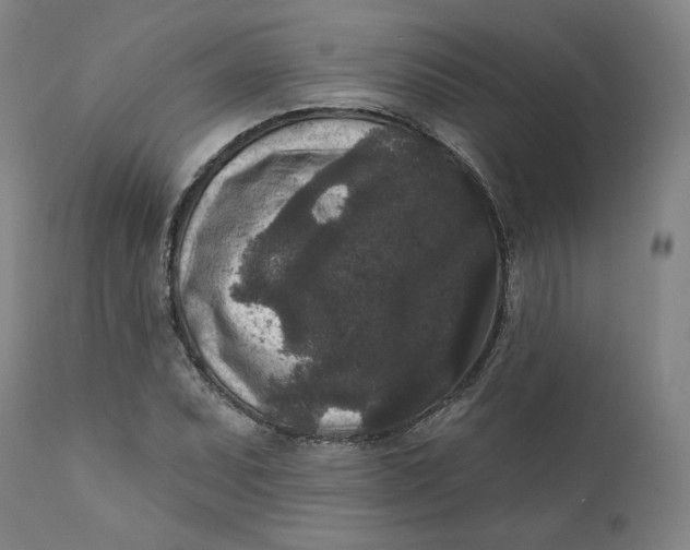 X0000111641071200908071337