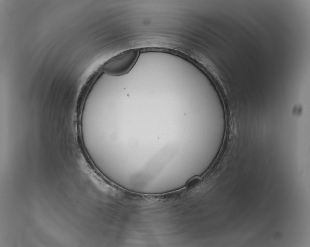 X0000111641072200908071337