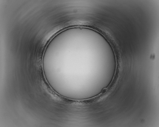 X0000111641073200908071337