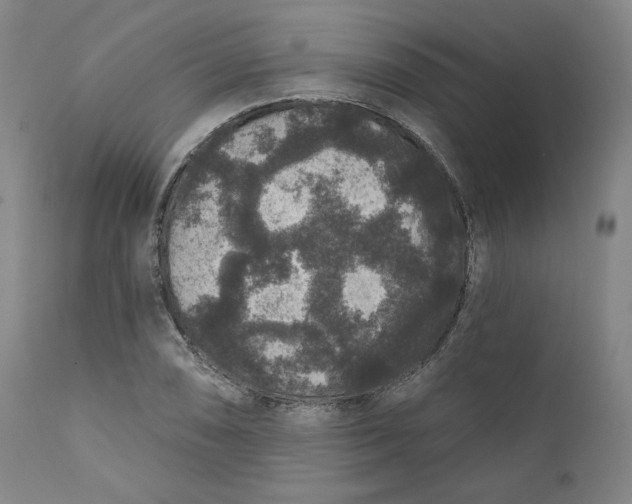 X0000111641074200908071337