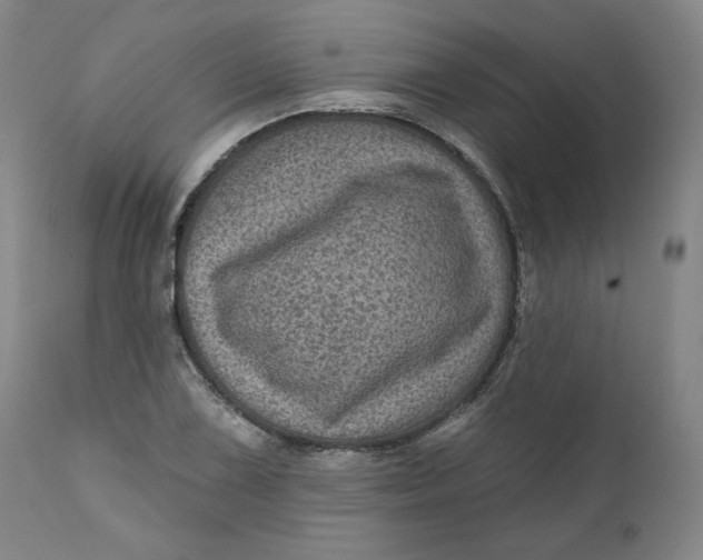 X0000111641075200908071337