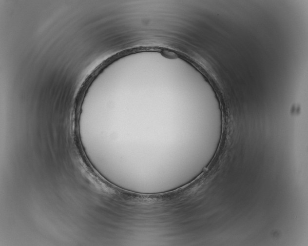 X0000111641076200908071337