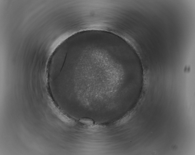 X0000111641077200908071336