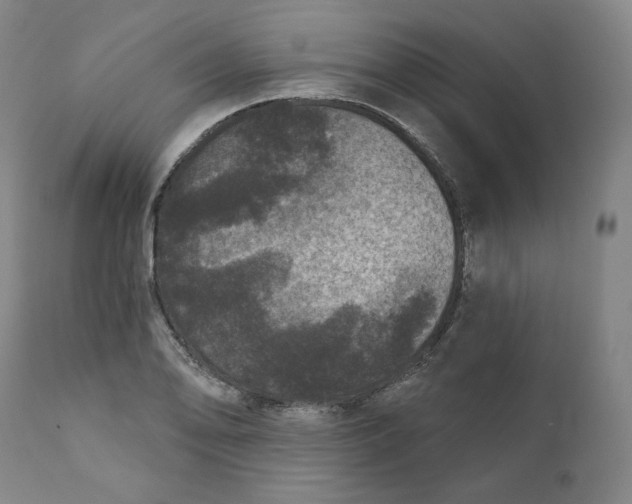 X0000111641078200908071336