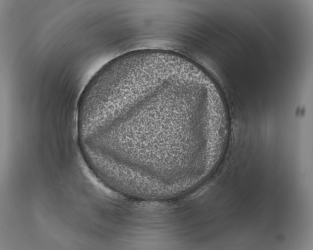 X0000111641079200908071336