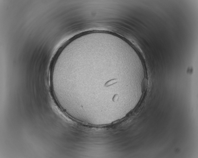 X0000111641080200908071336