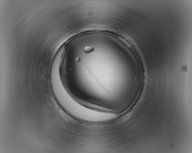 X0000111641081200908071336