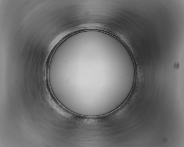 X0000111641082200908071336