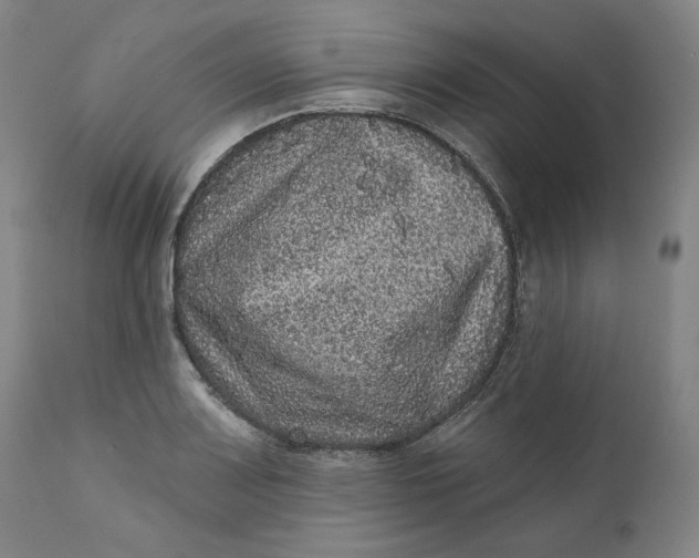 X0000111641083200908071336