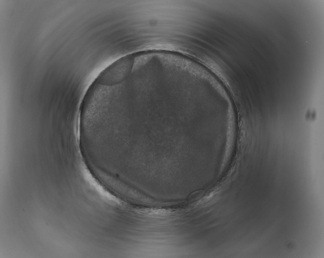 X0000111641084200908071336