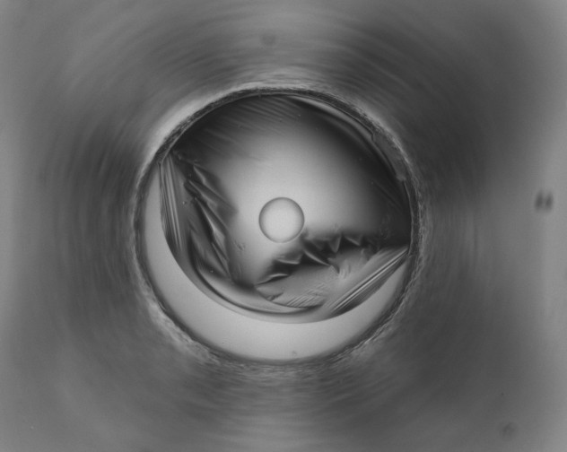 X0000111641085200908071336