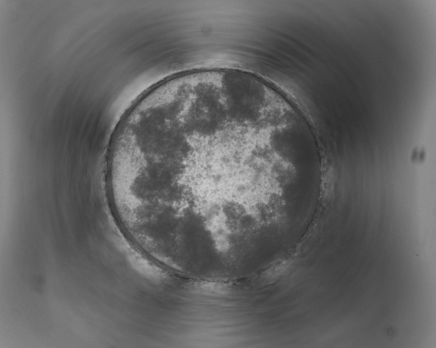 X0000111641086200908071336