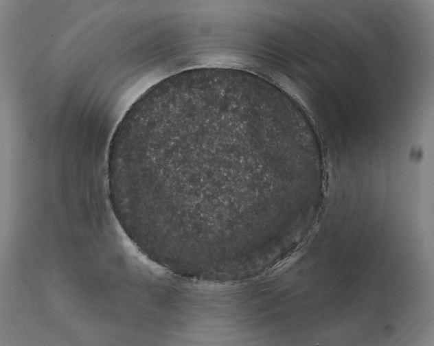 X0000111641087200908071336