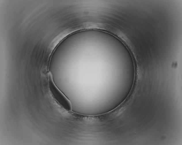 X0000111641089200908071336