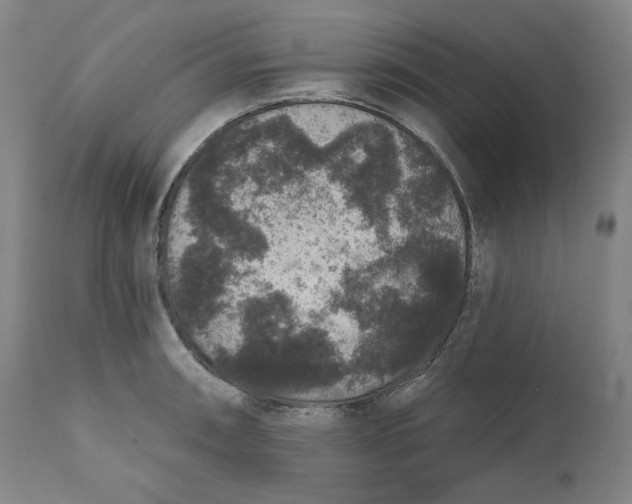 X0000111641090200908071336