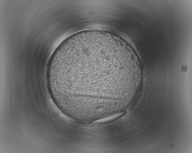 X0000111641091200908071336