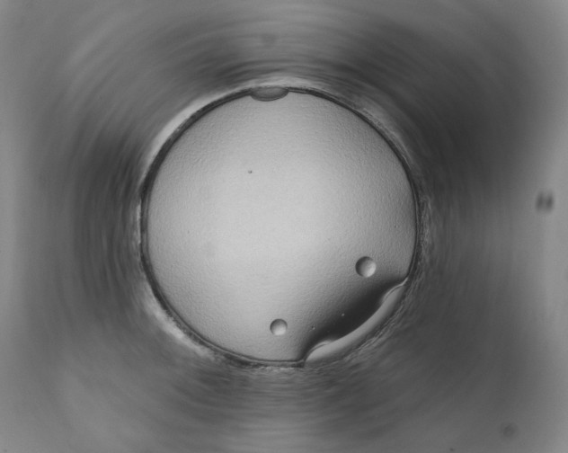 X0000111641092200908071336