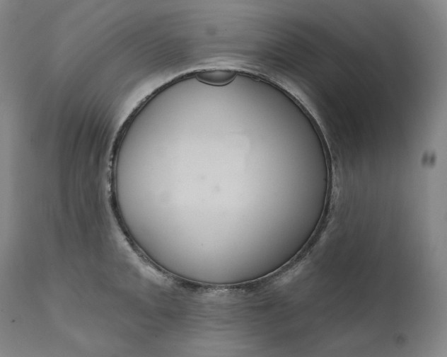 X0000111641093200908071336