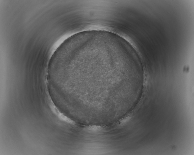 X0000111641094200908071336