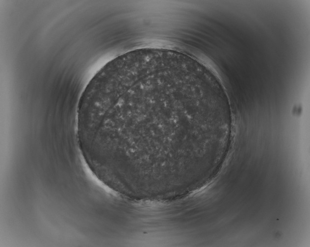 X0000111641095200908071336