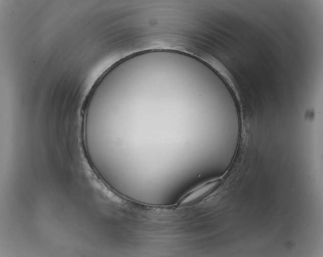 X0000111641096200908071336