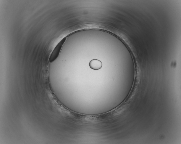 X0000111641097200908071336