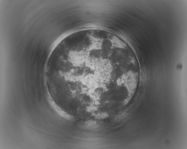 X0000111641098200908071336