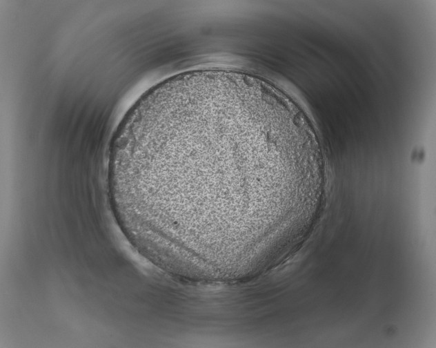 X0000111641099200908071336