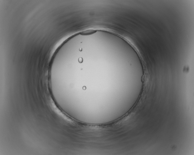 X0000111641100200908071336