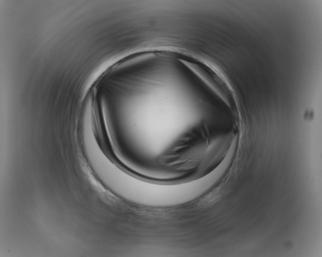 X0000111641101200908071336