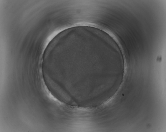 X0000111641102200908071336