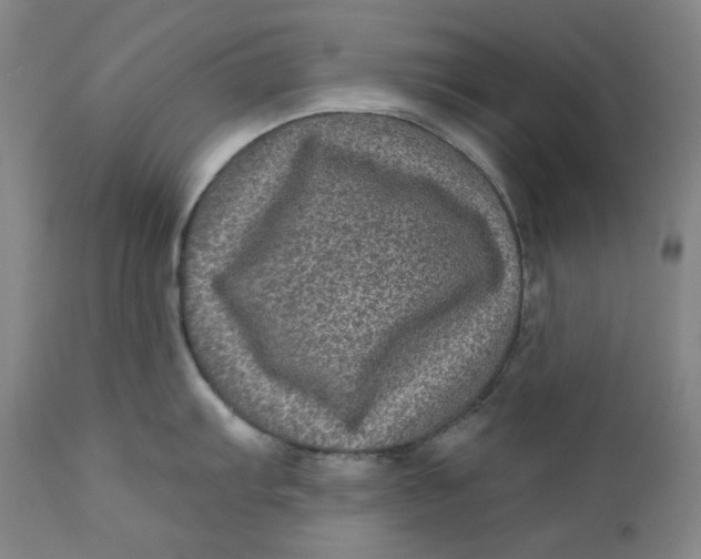 X0000111641103200908071336