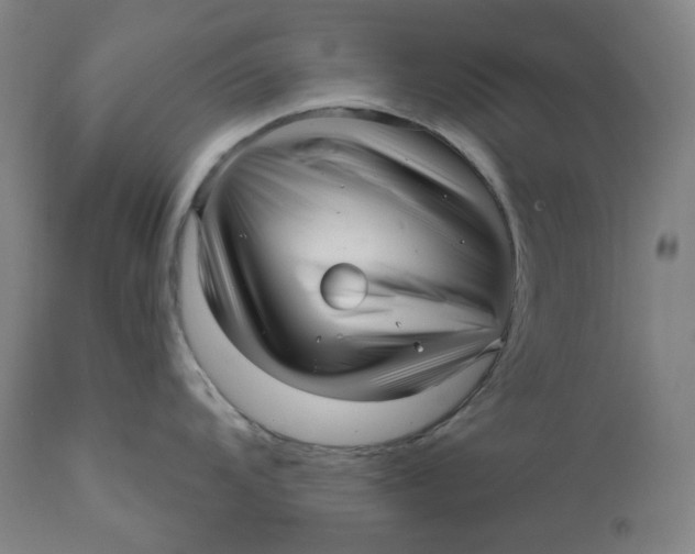 X0000111641104200908071336