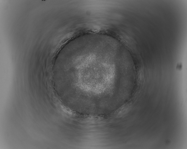 X0000111641105200908071335