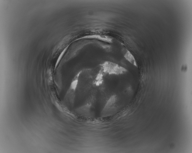 X0000111641106200908071335