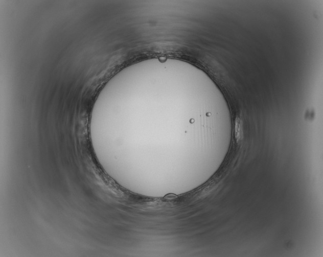 X0000111641107200908071335