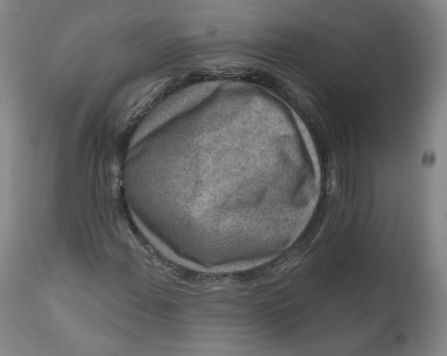 X0000111641108200908071335