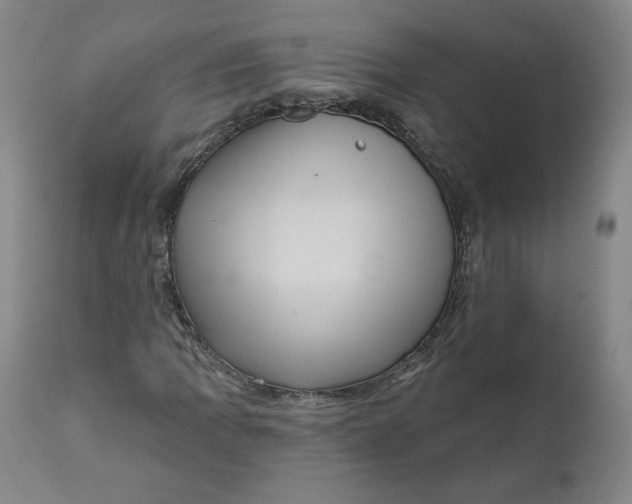 X0000111641109200908071335