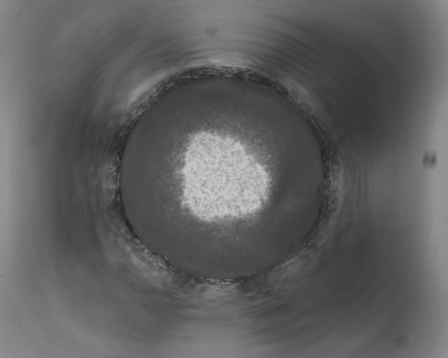 X0000111641110200908071335