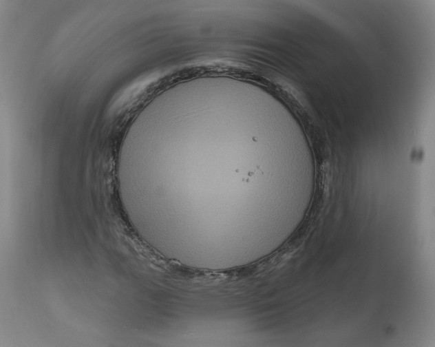 X0000111641111200908071335