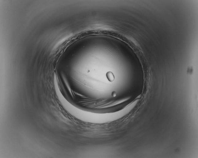 X0000111641112200908071335