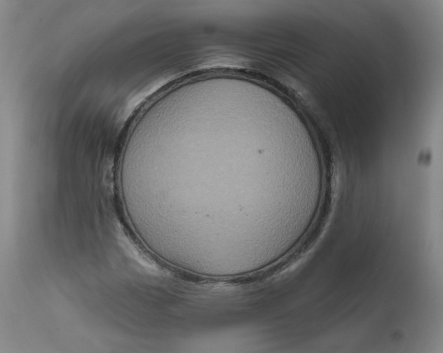 X0000111641113200908071335