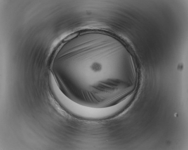 X0000111641114200908071335