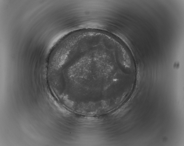 X0000111641115200908071335