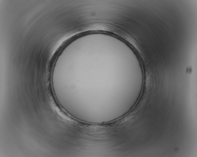 X0000111641116200908071335