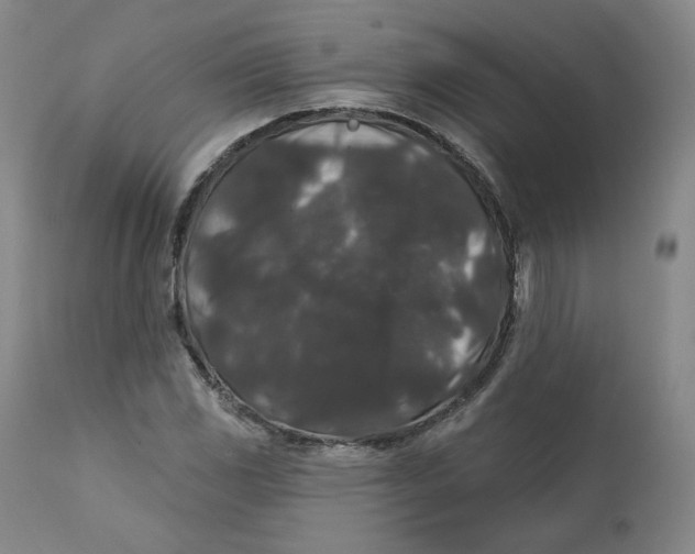 X0000111641117200908071335