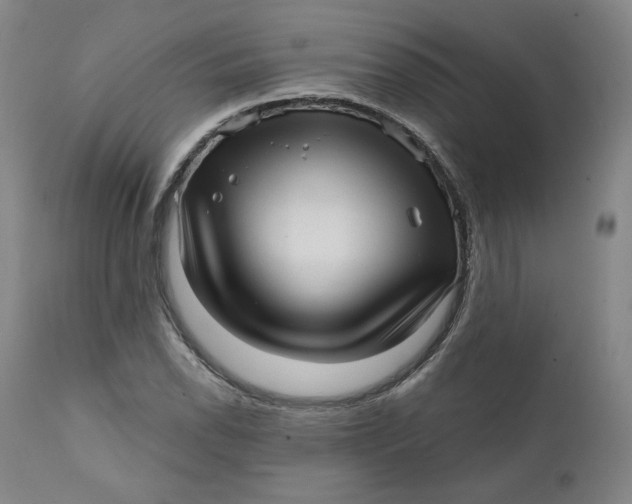 X0000111641118200908071335